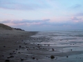 DSC06261.jpg