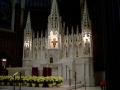 DSC06610.jpg